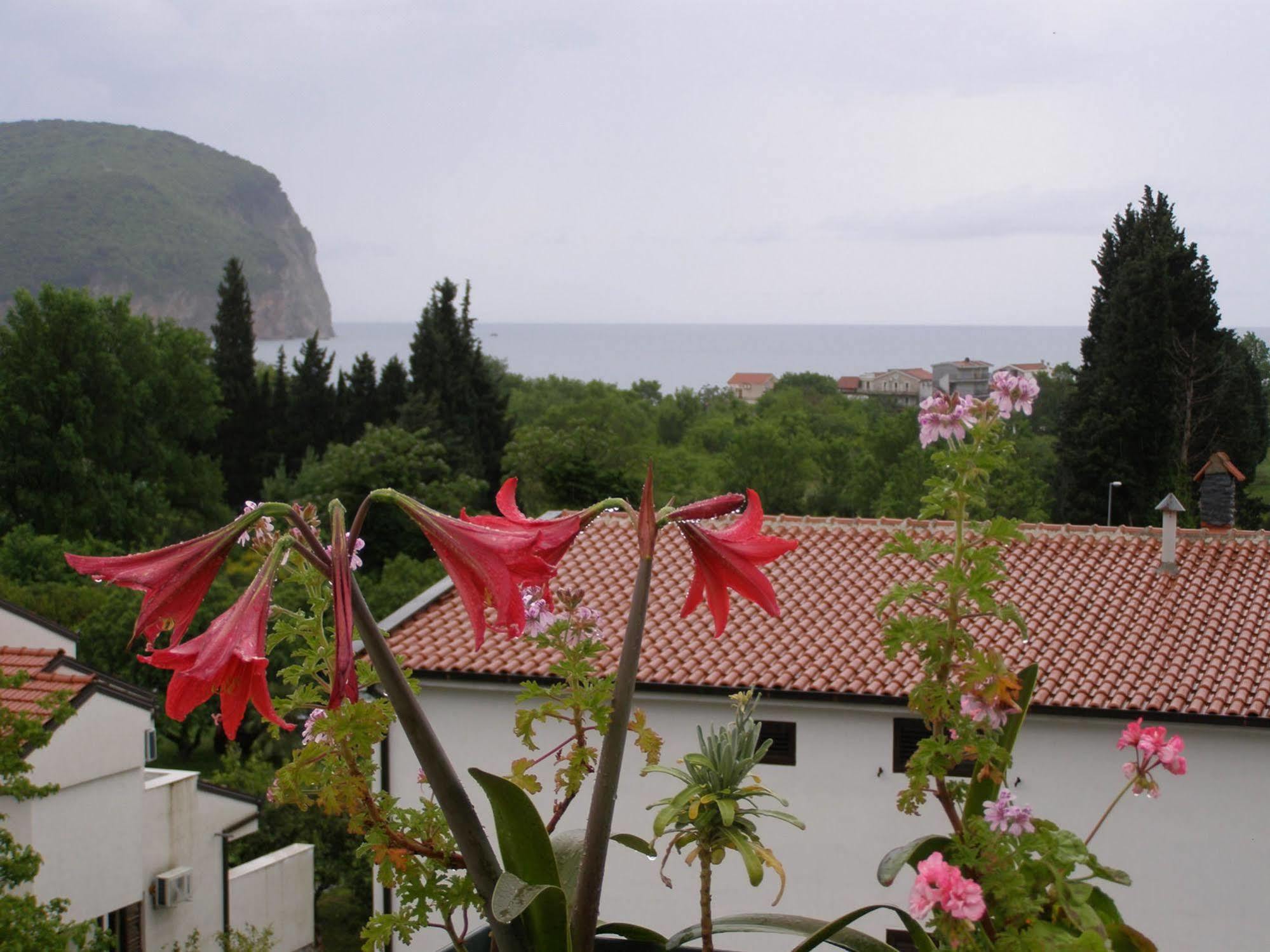 Hotel Wellness & Spa Angelo Gabriel Petrovac Luaran gambar